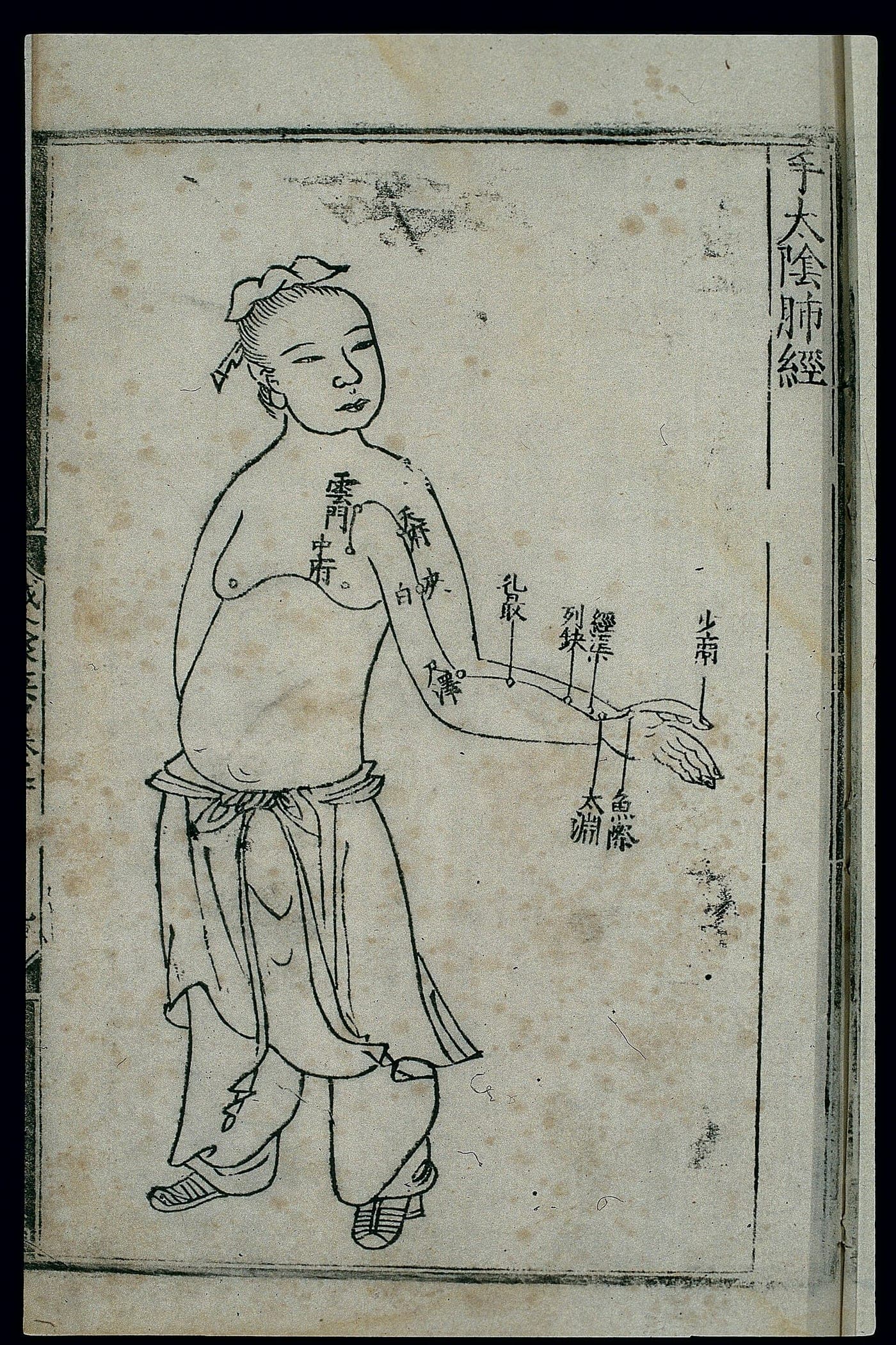 Đồ hình kinh Phế thủ thái âm